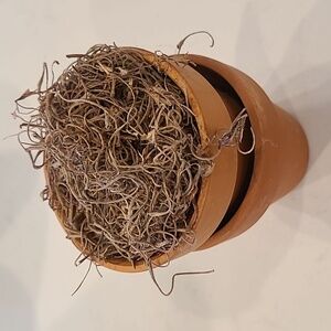 Faux Mini Clay Pot Bundle